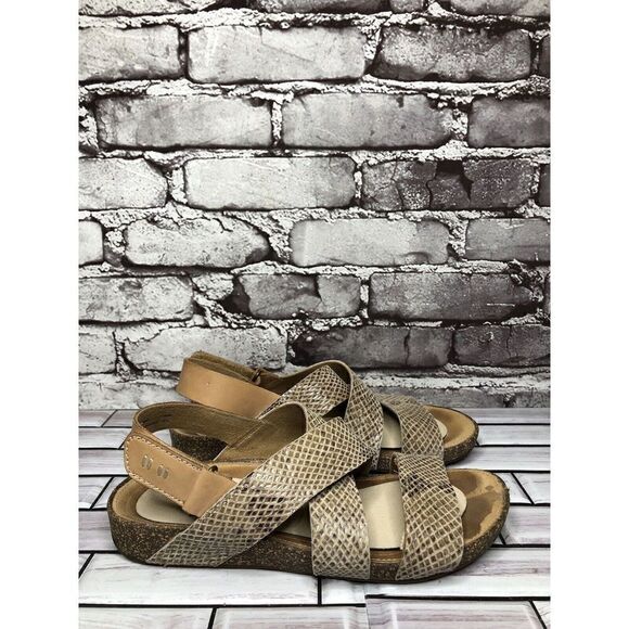 Clarks Taupe Leather Snake Skin Ankle Strap Casual Sandals Women Sz 7M US/37.5EU - Picture 5 of 16